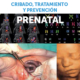 Curso de cribado, tratamiento y prevención prenatal con imágenes de ecografía fetal y diagnóstico prenatal